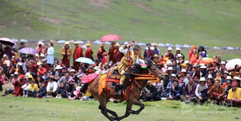 格?；ㄊ㈤_ 牧民馬背上一顯身手