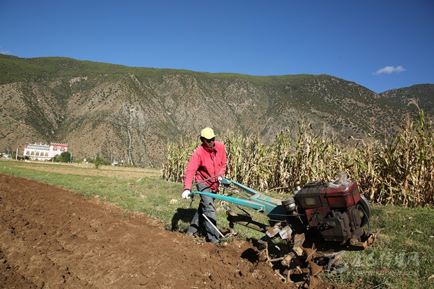 田園藏鄉(xiāng)美如畫(huà)，百姓脫貧喜在心