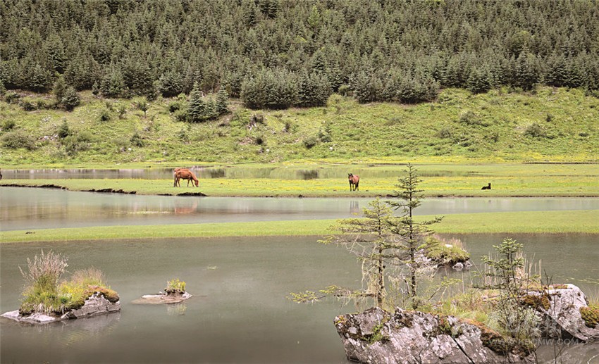 去甘孜 邂逅絕美湖泊海子！