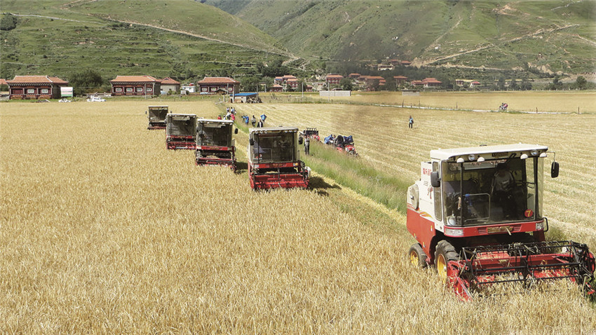 青稞機(jī)械.jpg 青稞機(jī)械.jpg