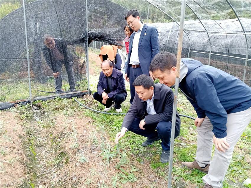 開(kāi)展調(diào)研.jpg 開(kāi)展調(diào)研.jpg